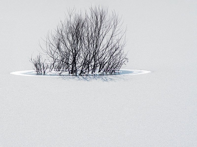 help.... I'm drowning by Roland's Foto's