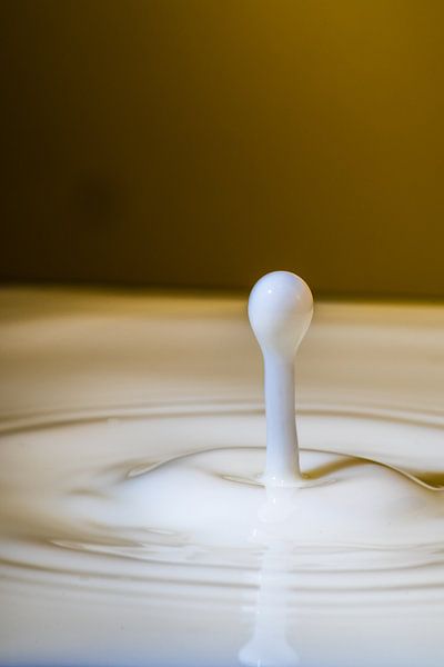 Melk druppels heel dichtbij van Thomas Riess