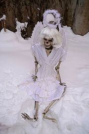 Last angel skeleton of an angel in white snow