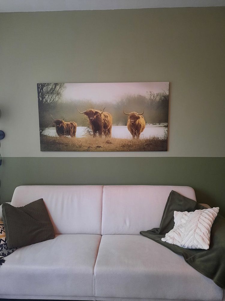 Drie stoere Schotse Hooglanders  van Sonja van Poorten 