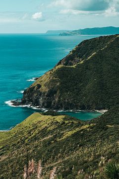 Groene kustlijn vanaf Cape Reinga in Nieuw-Zeeland van Rianne van Baarsen