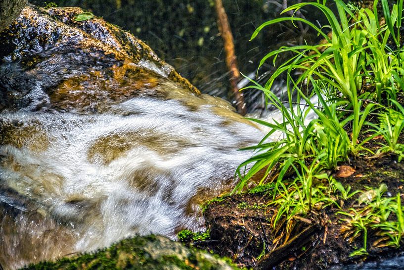 Wildes Wasser von Holger Felix