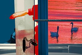 Schwanenhaus von True Color Stories