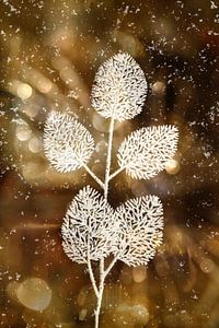 Neige de Noël.