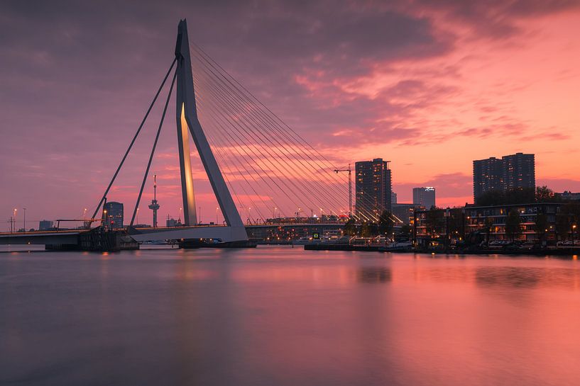 The Erasmus Bridge at sunset by Ilya Korzelius