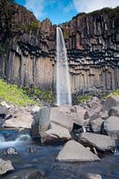 Svartifoss waterfall Iceland