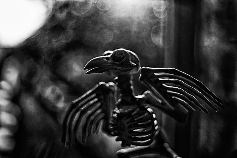 Night flight by Petra Dreiling-Schewe