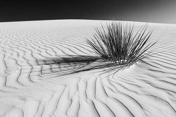 Wellenzeichnung der Dünen, White Sands National Monument | Monochrom von Melanie Viola