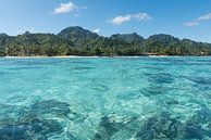 Lagune Rarotonga van Laura Vink thumbnail