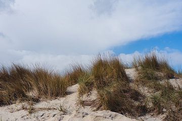 Dunes Terschelling by Isa V