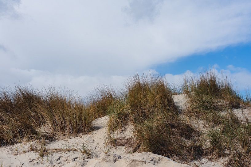 Dünen Terschelling von Isa V