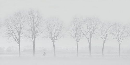 The lone cyclist