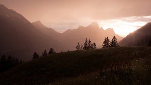 Regenschauer mit Sonne von Tobias Majewski