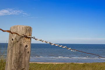 Dune fence by Michael Ruland