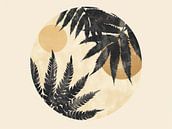 Boho by Modern Collection thumbnail
