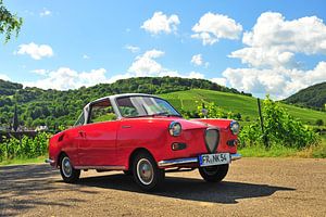 Goggomobil TS 250 Coupé van Ingo Laue