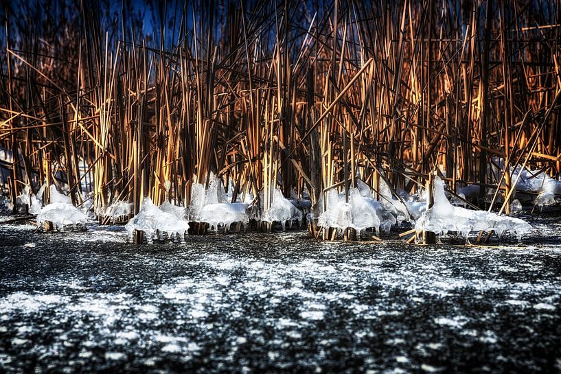 Ice sculptures by Henk Leijen
