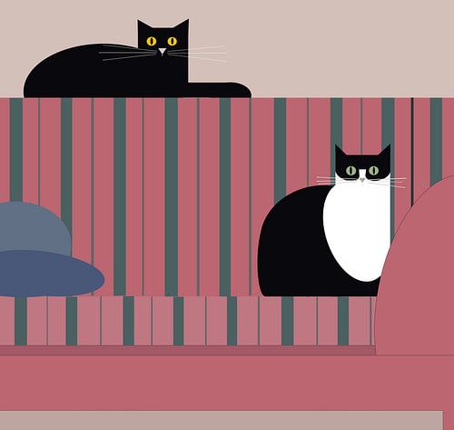 Cats on the sofa