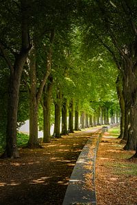 Alfred Schütte allee Keulen