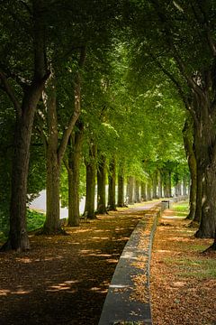 Alfred Schütte allee Cologne