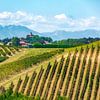 Les vignobles du Monferrato près de Penango, avec l'église San Vittore, Italie sur Stefano Orazzini