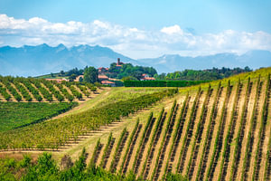 Weinberge im Monferrato bei Penango mit der Kirche San Vittore, Italien