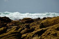 Ruige zeekust Zuid Afrika