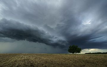 Unwetterfront von Ronny Rohloff