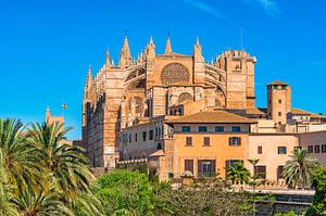 Blick auf die Kathedrale La Seu in Palma de Mallorca, Spanien von Alex Winter