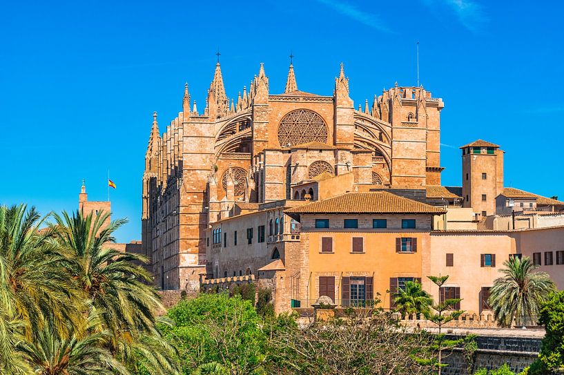 View of Cathedral La Seu in Palma de Mallorca, Spain by Alex Winter