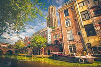 Domtoren en Lichte Gaard