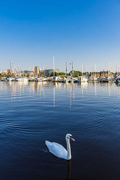 Uitzicht over de Warnow naar de Hanzestad Rostock