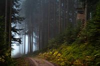 Hoogzit Schwarzwald