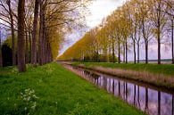Voorjaarskleuren langs het water in Sint-Laureins (België) van FotoGraaG Hanneke thumbnail