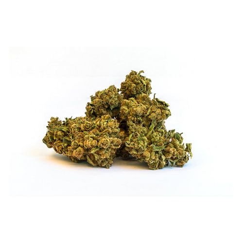 Cannabis onkruidmarijuana bloesem