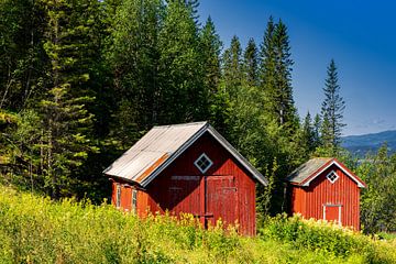 L'été en Norvège avec les granges rouges sur Adelheid Smitt