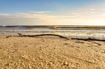 On the beach of Blåvand in the sunshine by the sea by Martin Köbsch