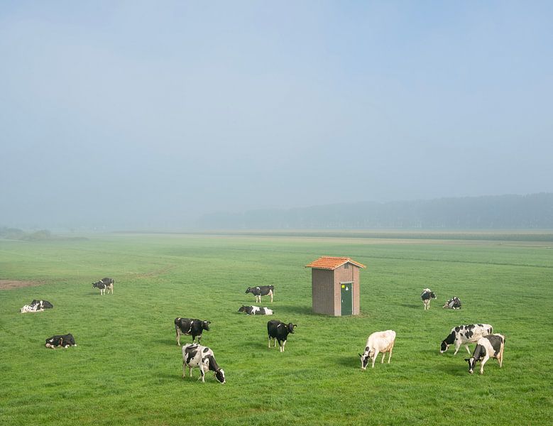Kühe und Hütte im Morgennebel von anton havelaar