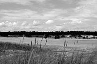 Uitzicht door het gras over de Hulshorsterzand in zwart-wit van Gerard de Zwaan thumbnail