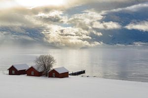 Norwegische Schuppen am Ufer eines Fjords in Nordnorwegen im Jahr von Sjoerd van der Wal Fotografie