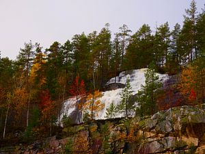 Waterval met herfstbomen in Noorwegen