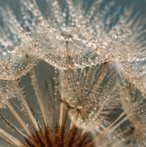 Wassertropfen
