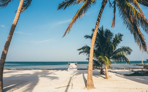 Tropisch strand op Caye Caulker in Belize