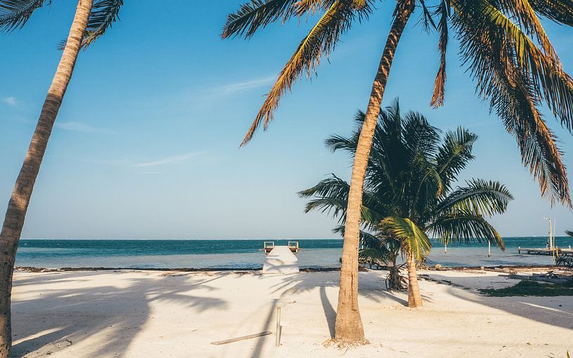 Tropischer Strand von Caye Caulker in Belize von Michiel Dros