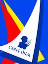 Carpe Diem JM2014op by Johannes Murat thumbnail