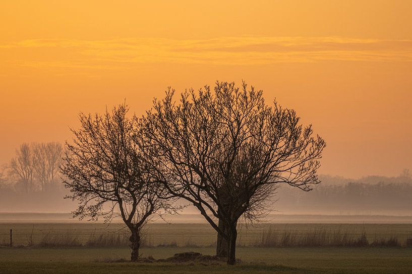 Sun Rising Cortenoever by Michel Hol