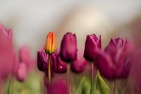Be different