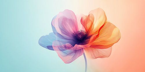 Poppy in Rainbow Colors