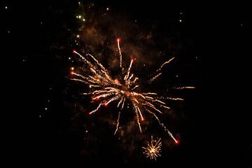 Vuurbloem vuurwerk van Shirley Douwstra