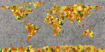 Wereldkaart Herfstblaadjes